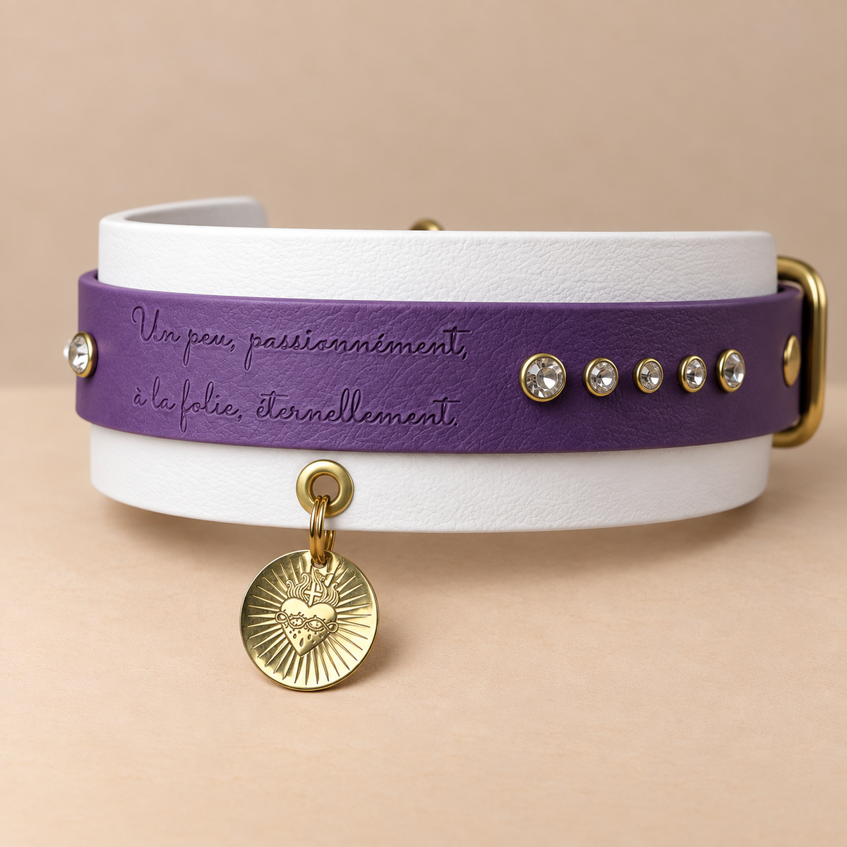 Éternel – Collier pour chien en Biothane® – 50 mm – Aubergine & Blanc – M+ 40/50 cm