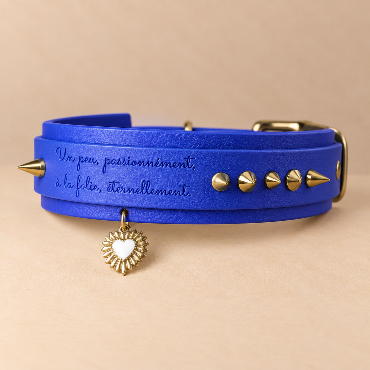 Éternel – Collier pour chien en Biothane® – Bleu roi – L 45/55 cm