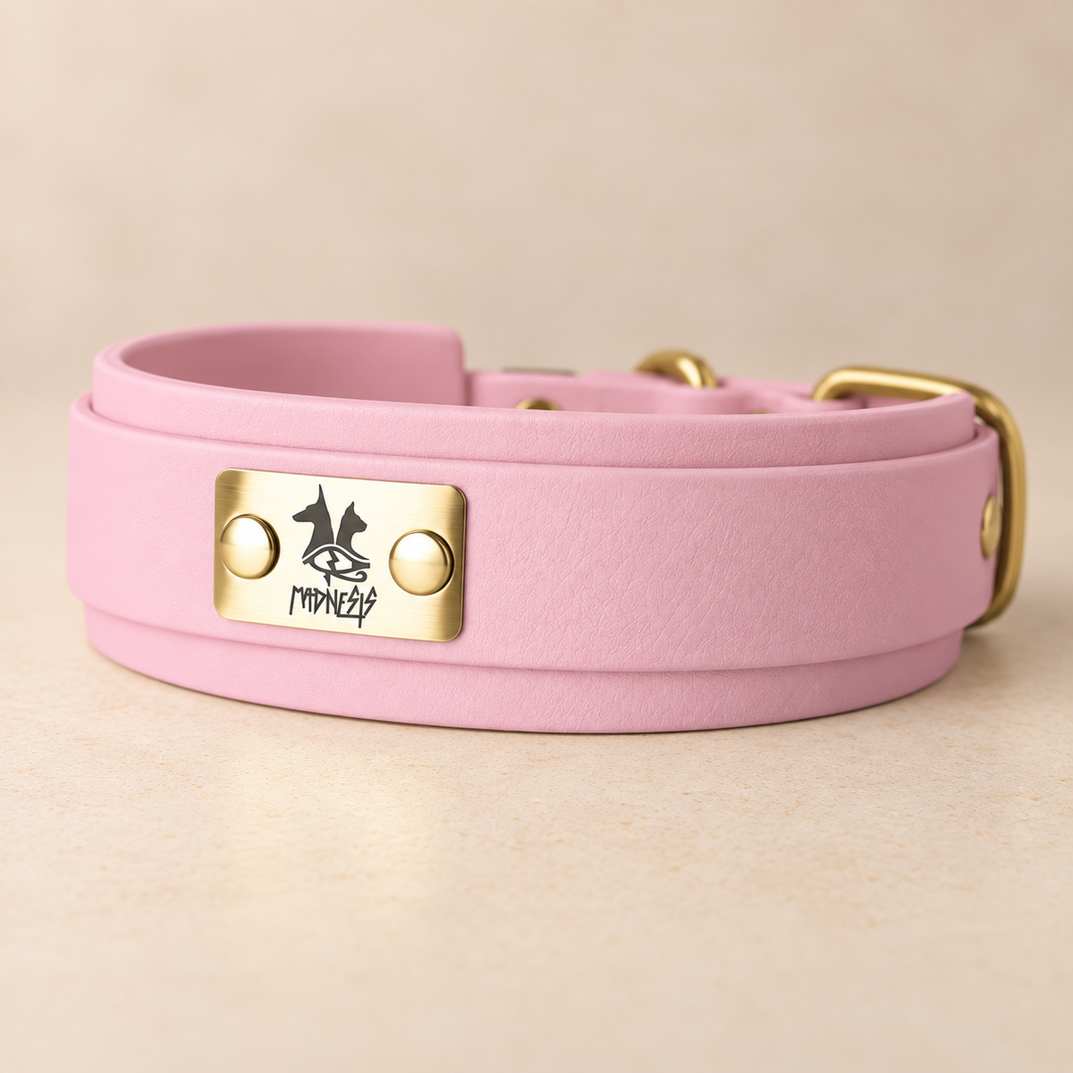 Talisman – Collier pour chien en Biothane® – 38 mm – Rose poudré – L 45/55 cm