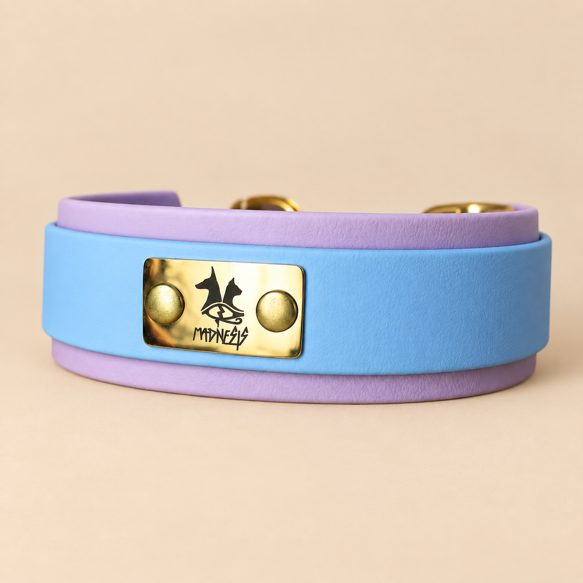 Talisman – Collier pour chien en Biothane® – 38 mm – Bleu polaire & Lilas – M 35/45 cm