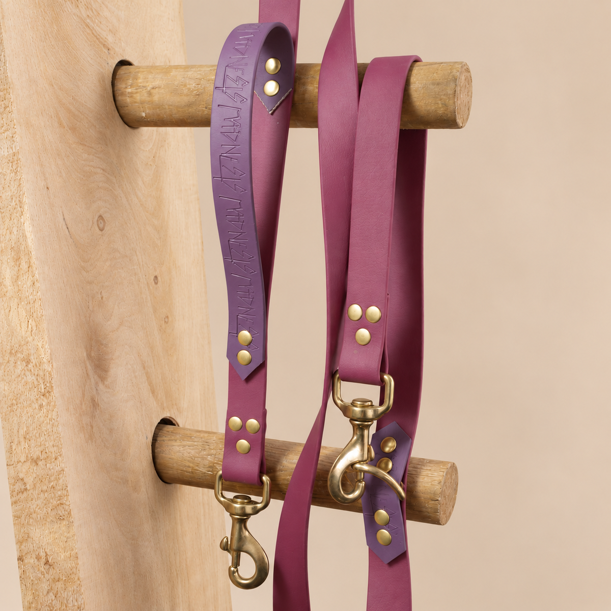 Laisse Intrépide multiposition 25mm– Laisse pour chien en Biothane® – 2 m – Bordeaux