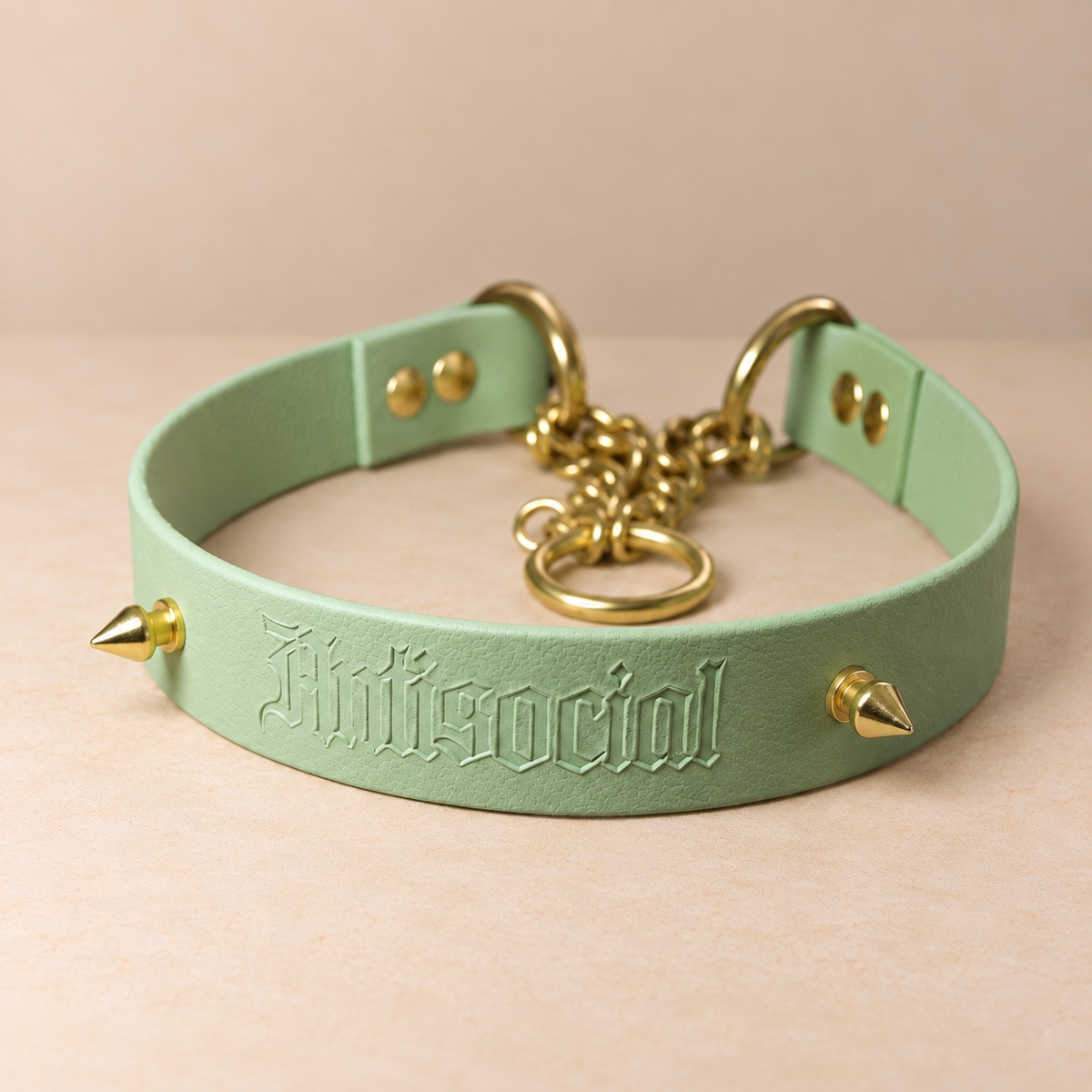 Attache Martingale Antisocial guacamole 25mm – Collier chien en Biothane® – Guacamole – 45 cm