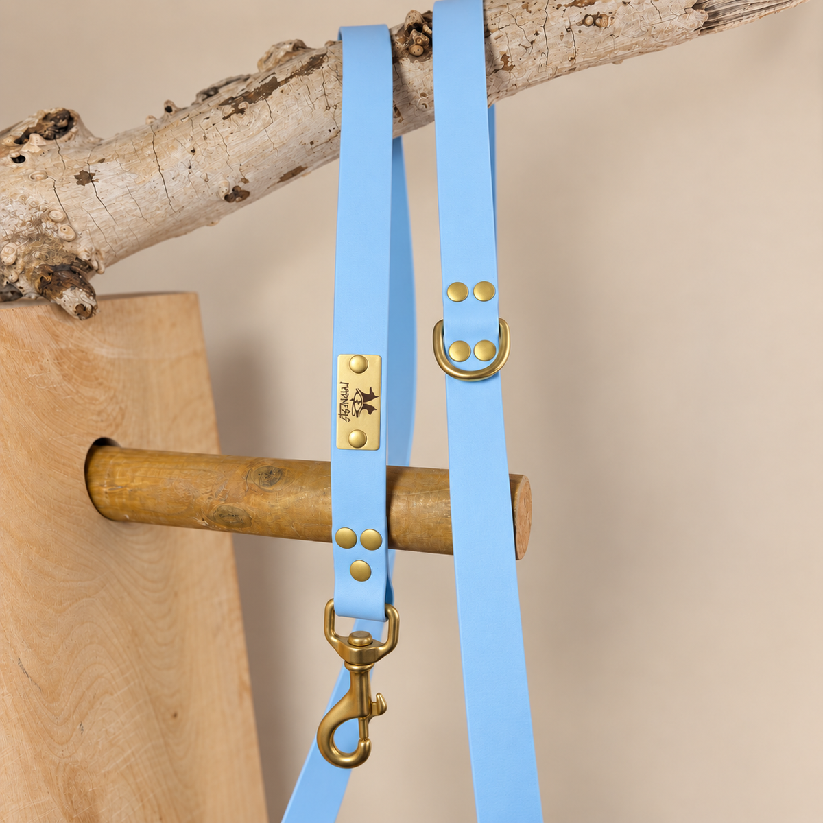 Laisse Talisman 25mm – Laisse pour chien en Biothane® – 2 m – Bleu polaire