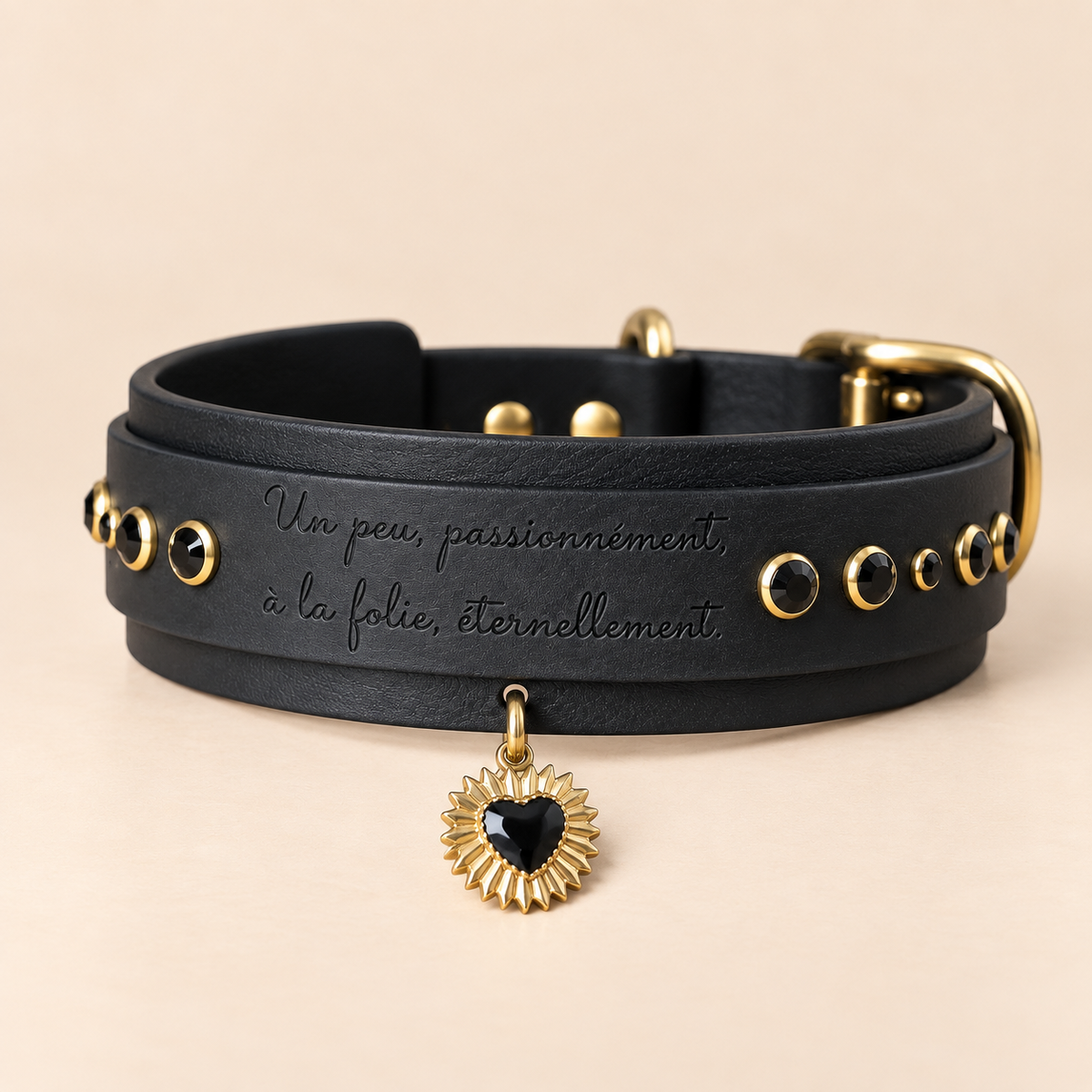 Éternel – Collier pour chien en Biothane® – 38 mm – Noir – M+ 40/50 cm