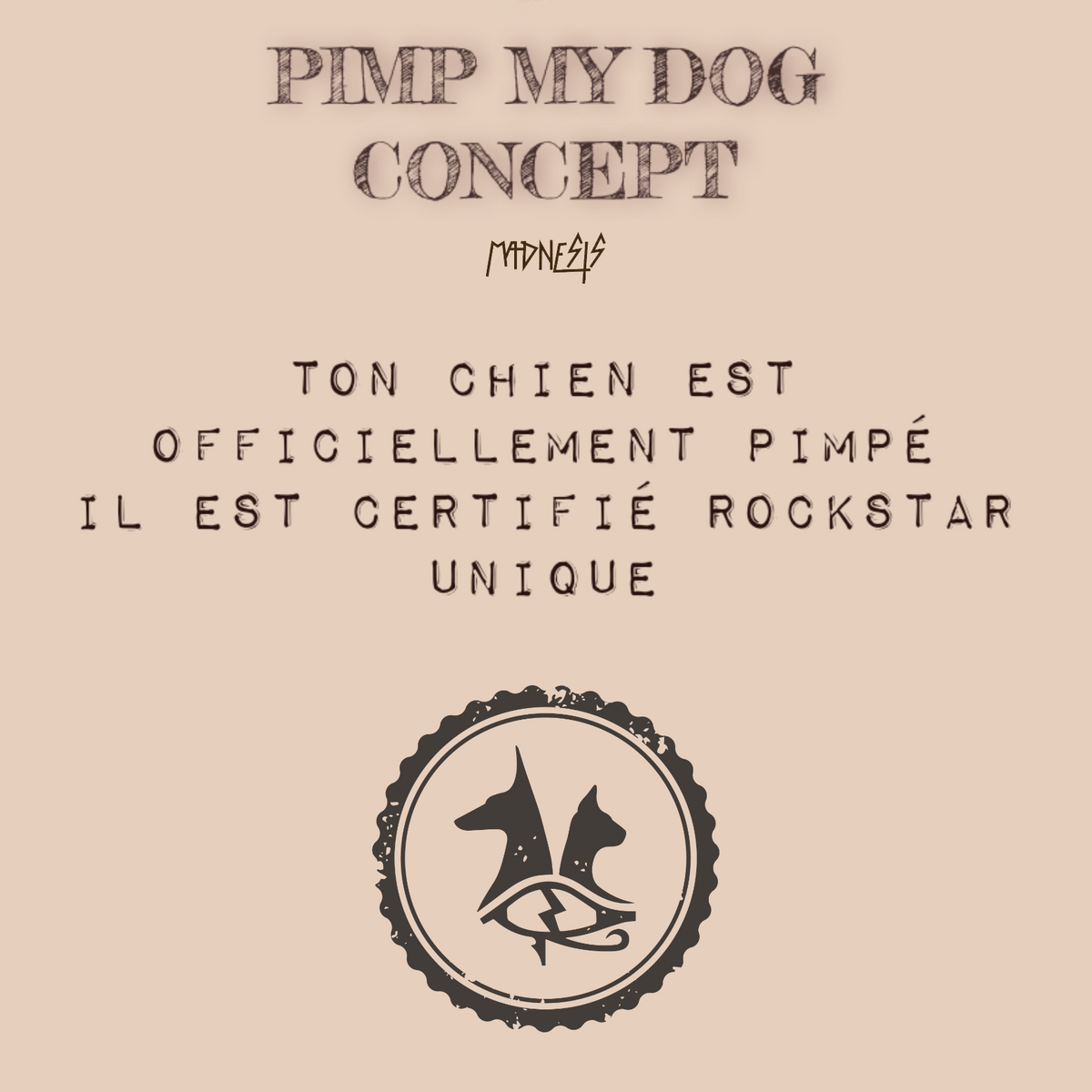 Pimp My Dog