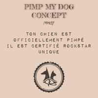Pimp My Dog