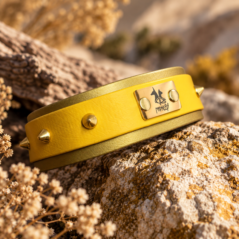 Collier pour chien en Biothane® jaune ocre avec clous et plaque en laiton doré – Madnesis